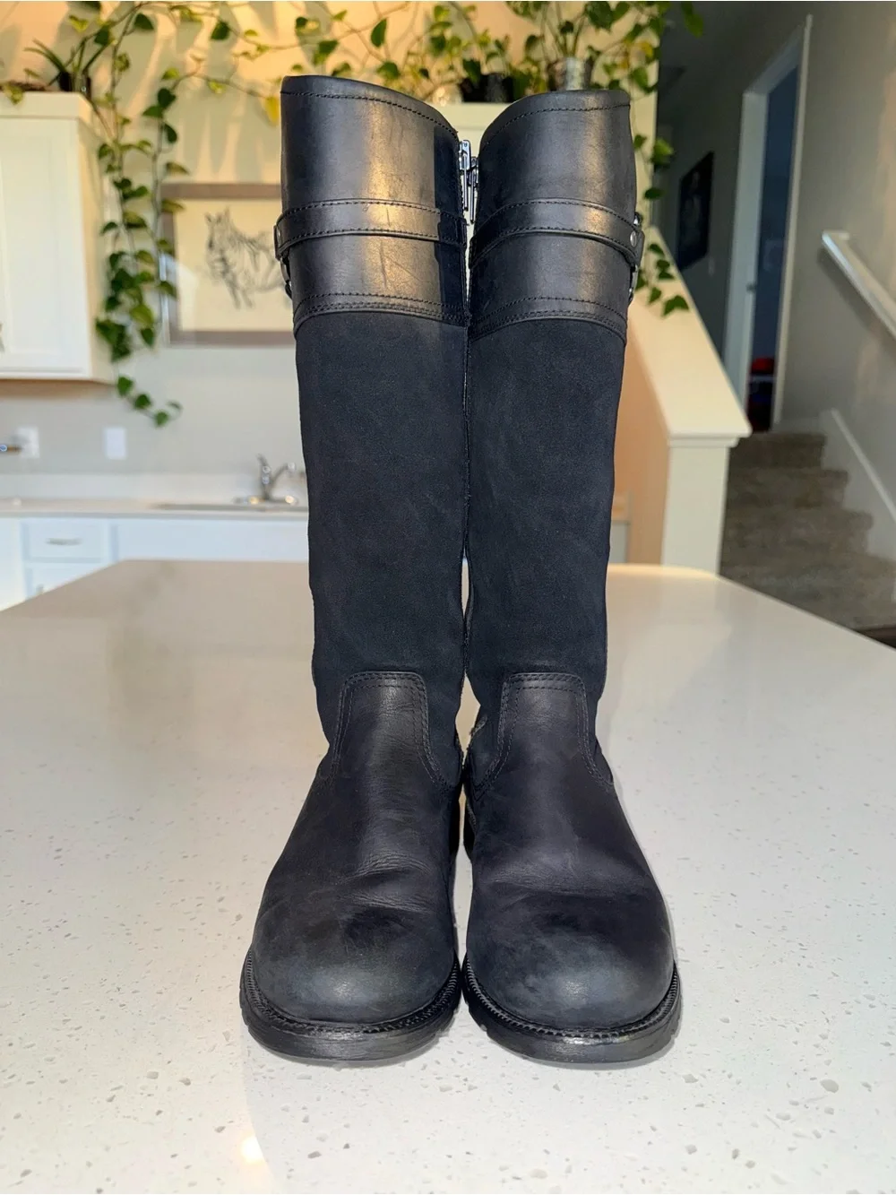 Ariat strap classic